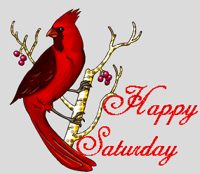 Czerwony ptak szczęśliwej soboty